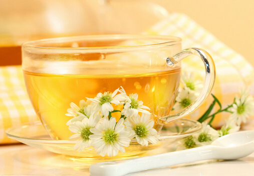 兒童不要喝菊花茶-什么人不可以喝菊花茶?