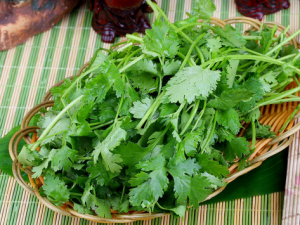 感冒病人飲食要適量-感冒不能吃什么？