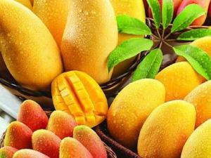 芒果不能和什么食物一起吃?吃芒果有什么禁忌