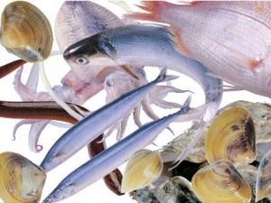 得了蕁麻疹不能吃什么?蕁麻疹的飲食禁忌