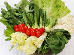 春季飲食禁忌:春季飲食要注意什么