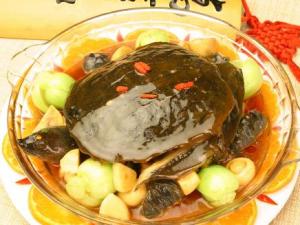 甲魚不能和什么一起吃?吃甲魚有哪些飲食禁忌