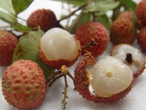 吃荔枝會上火嗎?荔枝吃多了會怎么樣