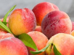 桃子吃多了會怎么樣?桃子吃多了上火嗎