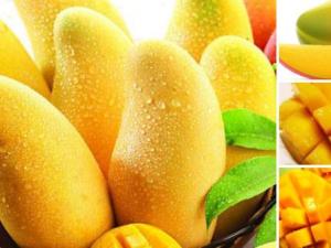 芒果不能與什么一起吃?吃芒果的注意事項