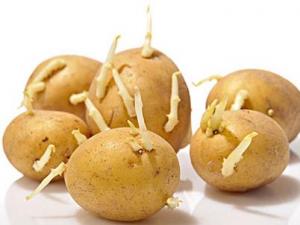 土豆長(zhǎng)芽能吃嗎?吃土豆的食用禁忌