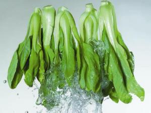 如何選購油菜?油菜的食用禁忌