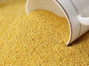 如何挑選小米?小米的食用禁忌