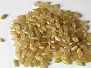 如何挑選糙米?吃糙米的食用禁忌