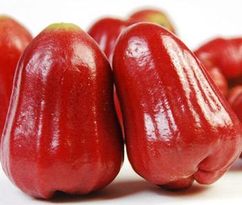 食用蓮霧的注意事項(xiàng)-蓮霧的功效與作用