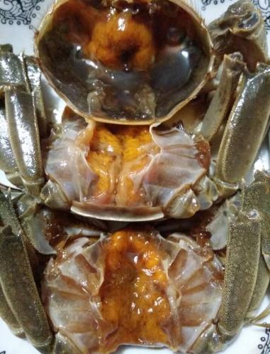 螃蟹不能和什么一起吃?吃完螃蟹不能吃什么