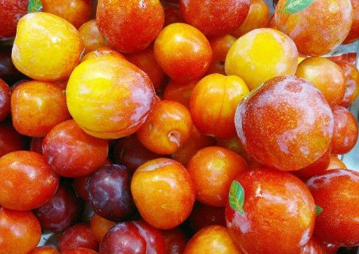 李子吃多了會(huì)怎么樣?李子一次吃多少合適