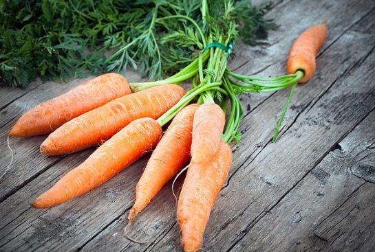 胡蘿卜發芽了還能吃嗎?胡蘿卜有點爛了還能吃嗎?