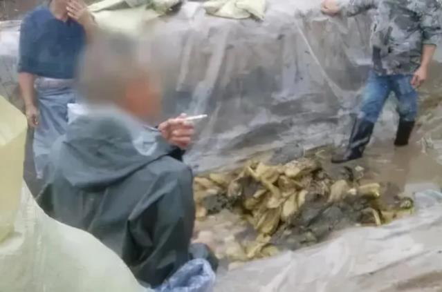 光腳土坑酸菜對方便面行業影響有多大 插旗的土坑酸菜是怎么研制的