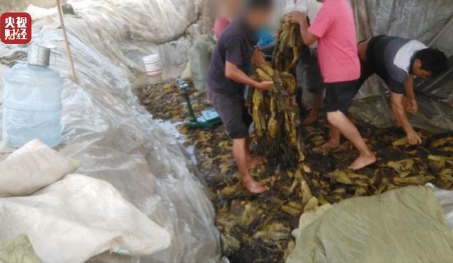 光腳土坑酸菜對方便面行業影響有多大 插旗的土坑酸菜是怎么研制的