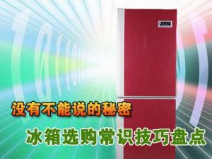 如何購買冰箱?冰箱選購知識小竅門