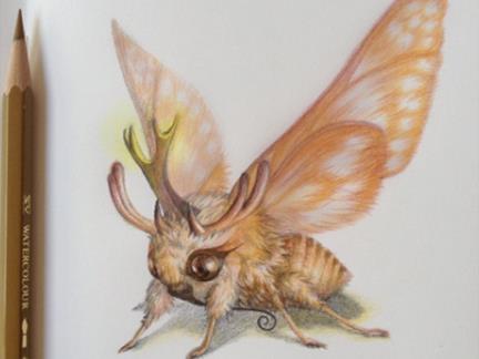 幺蛾子是什么意思?幺蛾子還是妖蛾子