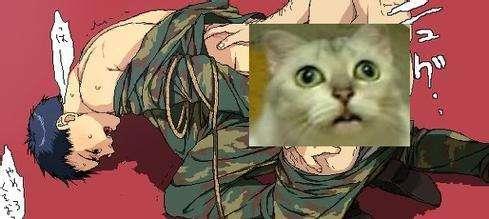 爆菊花是什么意思?爆你菊花是什么意思?什么叫爆菊花