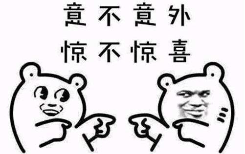 驚不驚喜,意不意外是什么意思 出處周星馳電影《家有喜事1992》