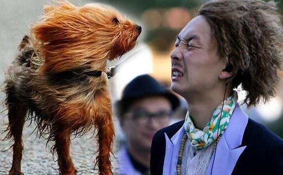 凌亂是什么意思?網絡用語我凌亂了是什么意思