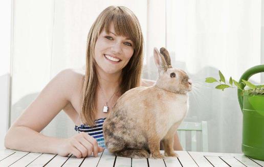 食草女是什么意思?食草女性格特征事業觀戀愛觀 食草女PK食肉女