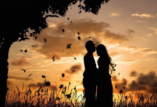 順溜男是什么意思?性格特征 甩掉鳳凰男,嫁“牛奮”型順溜男