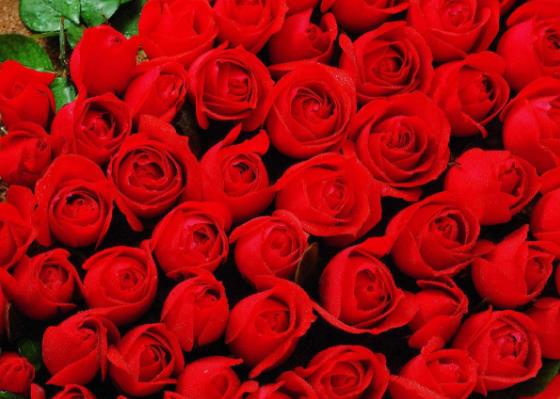 數(shù)字諧音大全、數(shù)字含義、阿拉伯數(shù)字諧音的意思