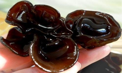 木耳黑是什么意思?為什么說女人黑木耳?粉木耳為什么會變黑木耳