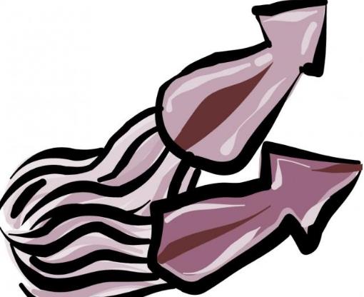 法克魷是什么意思?法克魷英文是什么意思?神獸法克魷是魷魚嗎