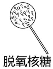 脫氧核糖是什么意思什么梗?脫氧核糖的內涵意思 請你吃脫氧核糖