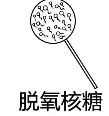 脫氧核糖是什么意思什么梗 脫氧核糖指代啪啪啪行為