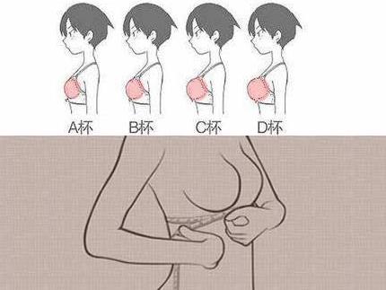 ֱʲô˼ֱabcdefgôִСDƬֱߴ猦(du)ձ