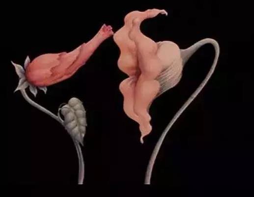 女生說3%是什么意思什么梗 百分之三的污內(nèi)涵意思