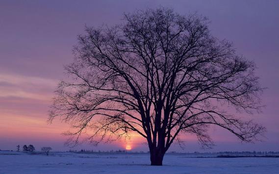 朋友圈很火的一段話句子說說 學會獨自一個人去承受