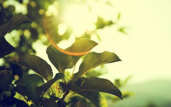 朋友圈很火的一段話句子說說 學會獨自一個人去承受