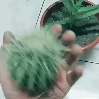 盤它是什么意思什么梗 甭管是啥盤它就對了 2019年首個網絡流行語