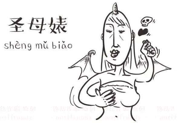 圣母婊是什么意思什么梗 圣母和圣母婊區別 圣母婊經典語錄專用臺詞