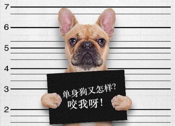 自殺式單身是什么意思什么梗 90后新詞匯“自殺式單身”有多無解