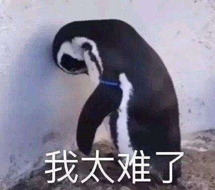 我太難/南了是什么意思什么梗?我太難/南了入選2019年十大流行語