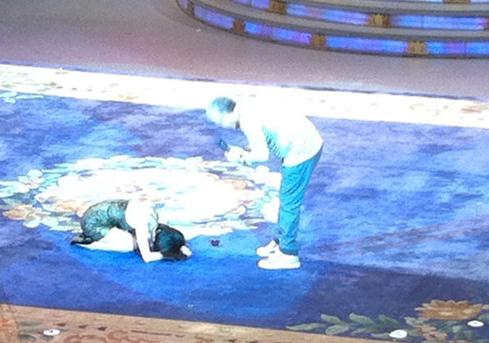 �Sʥ���¹���w��ɽ�鎟,��ʽ���T�w�Ұ�