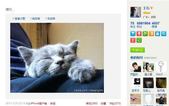 王石新歡田樸珺微博曝光,二人巴西吃烤肉,微博曬同一只貓