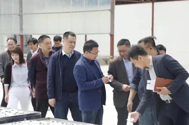 全國人大常委會委員謝廣祥一行領導,深入調研冰雪容黃精產業園