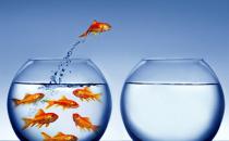 ?風險投資基金的概念