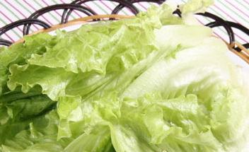 食物養(yǎng)生警惕:10種危險食物大揭秘生菜