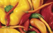 為什么吃完辣椒容易拉肚子？吃辣椒拉肚子怎么辦