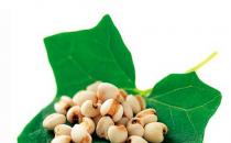 薏米最養(yǎng)人-美白又去皺的薏米食譜