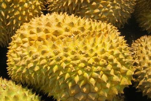 如何挑選榴蓮?吃榴蓮的注意事項(xiàng)