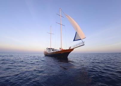 7月11日是什么節日?中國航海日是幾月幾日?中國航海日的由來