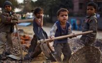 6月12日是什么節日？世界無童工日的來歷和主題