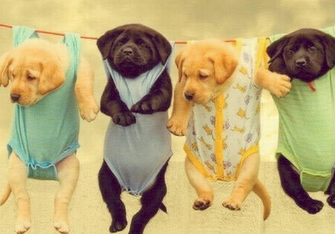 霧霾天能曬衣服嗎?霧霾天注意事項